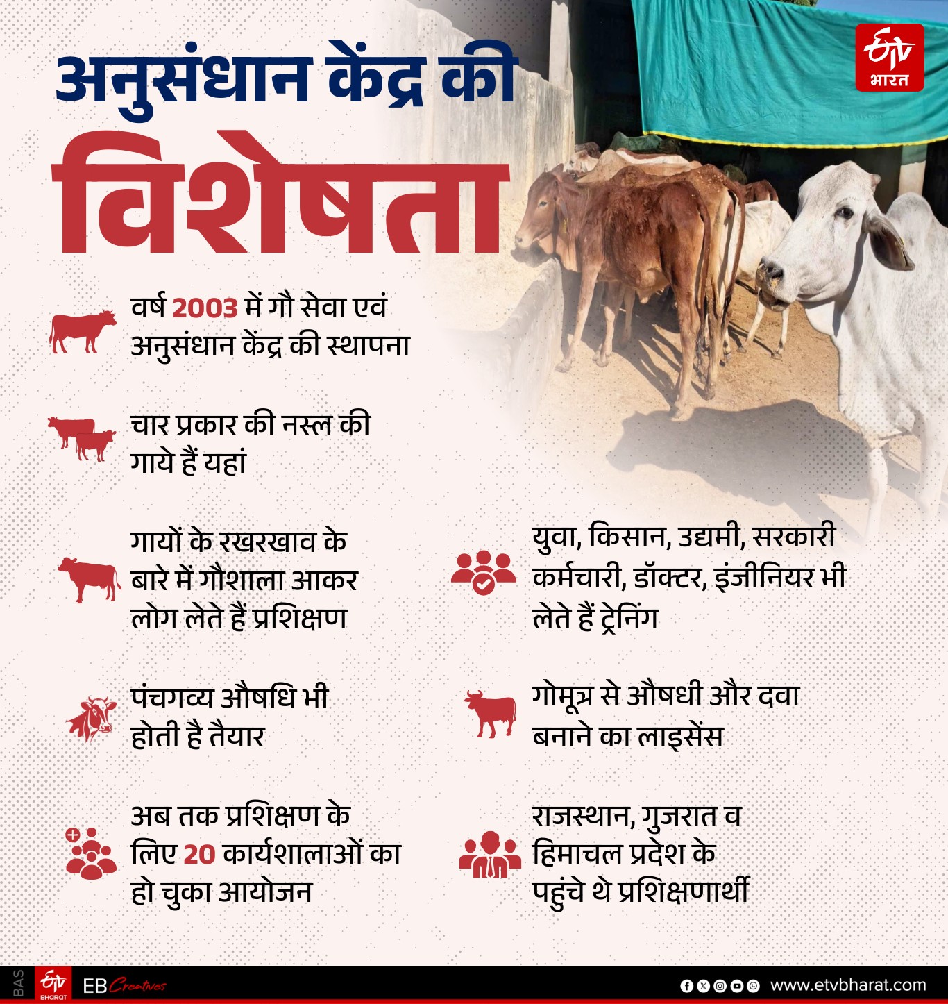 माधव गौ सेवा एवं अनुसंधान केंद्र के बारे में जानें