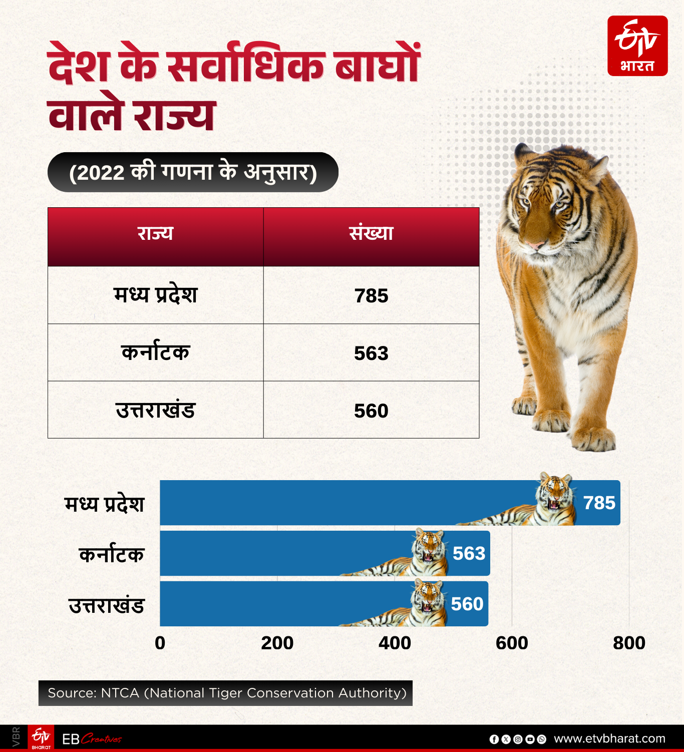 TIGER STATE MADHYA PRADESH