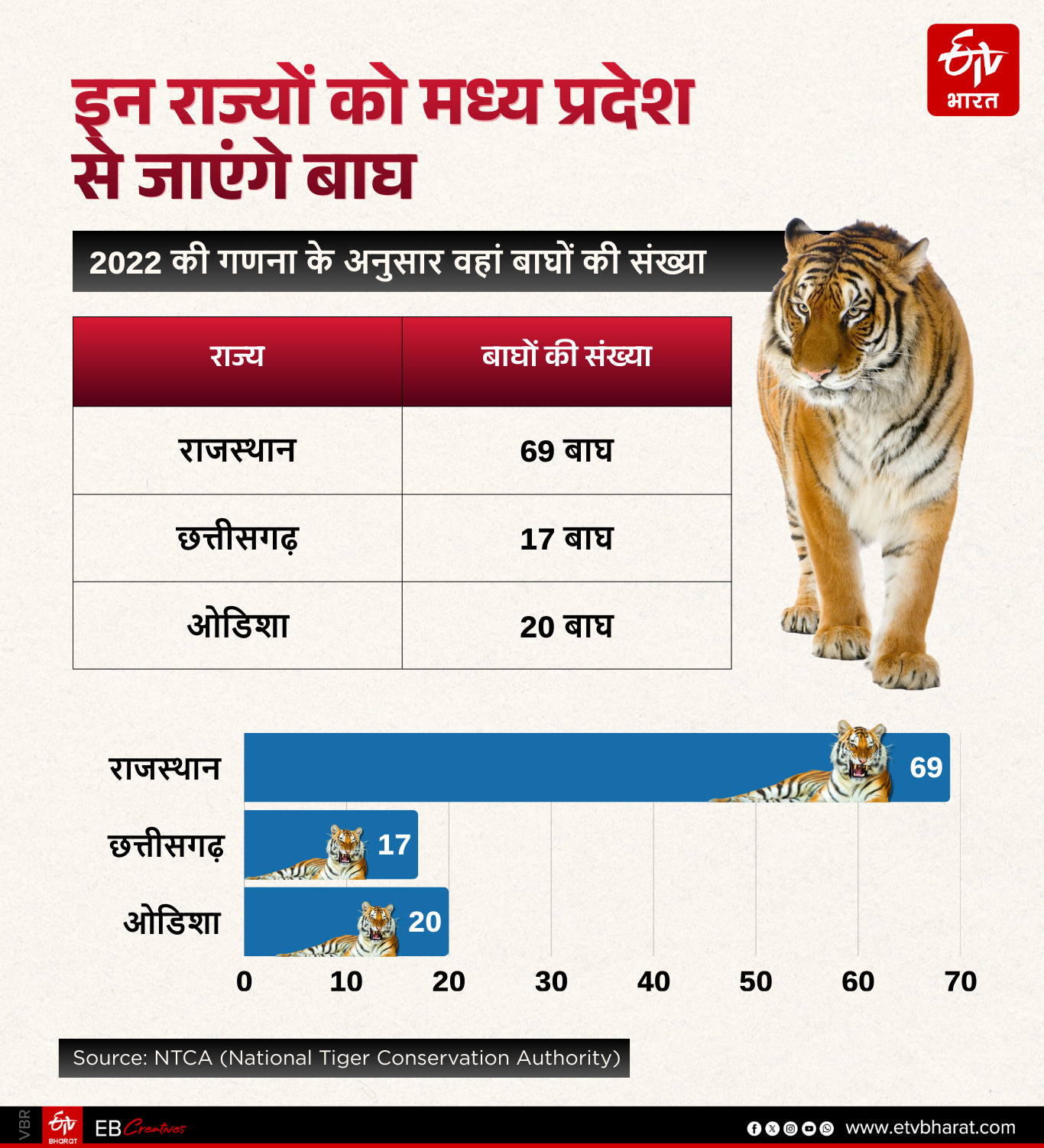 MP TIGER SHIFTING OTHER STATES