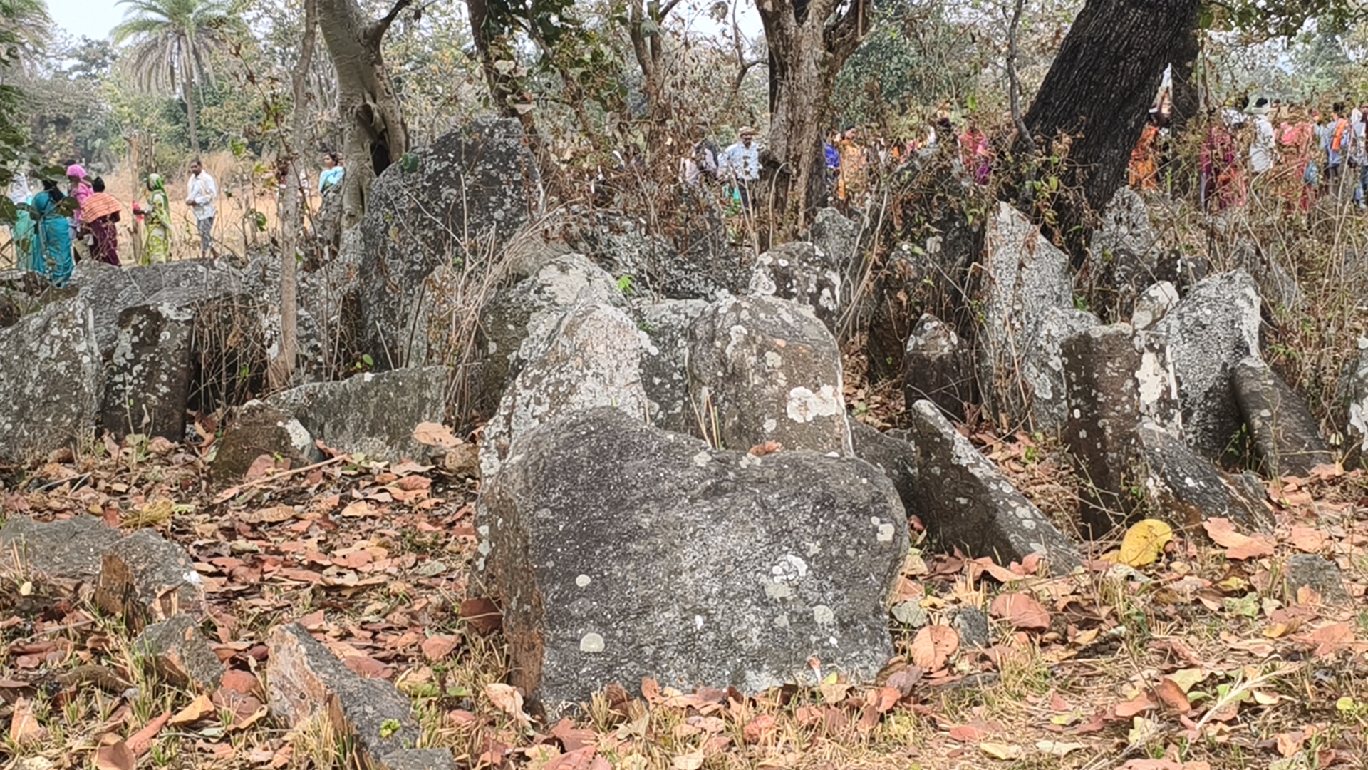 Unique Ritual Of Salvation