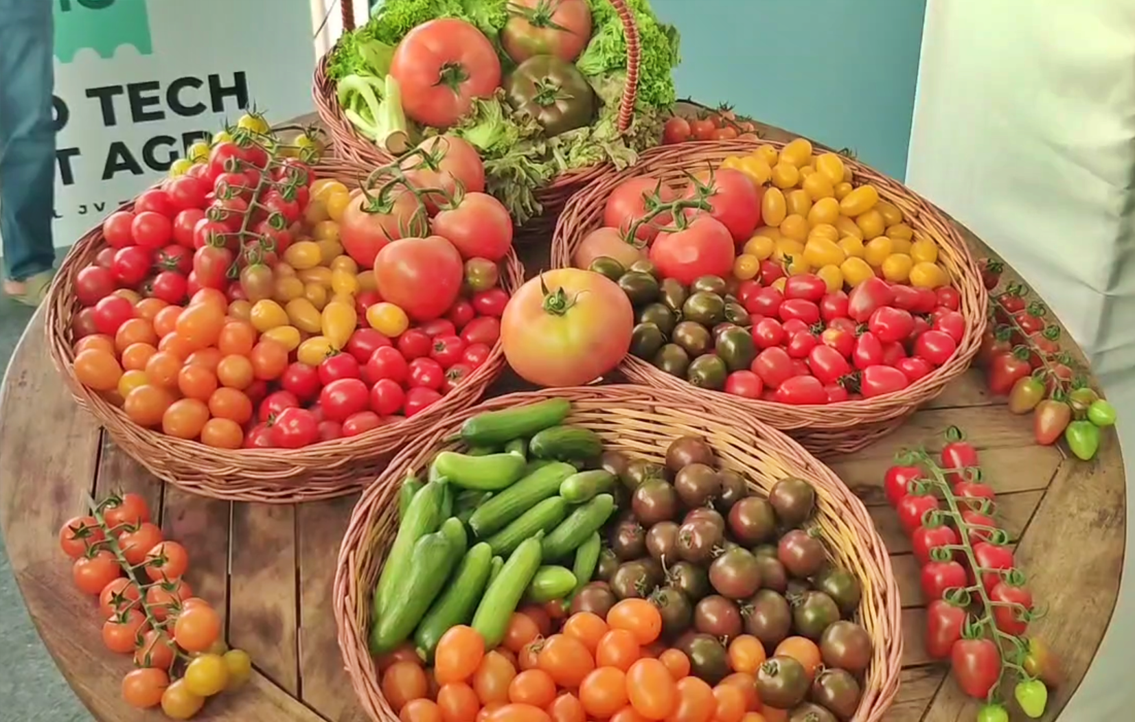 நவீன தொழில்நுட்பத்தால் விளைந்த காய்கறிகள்