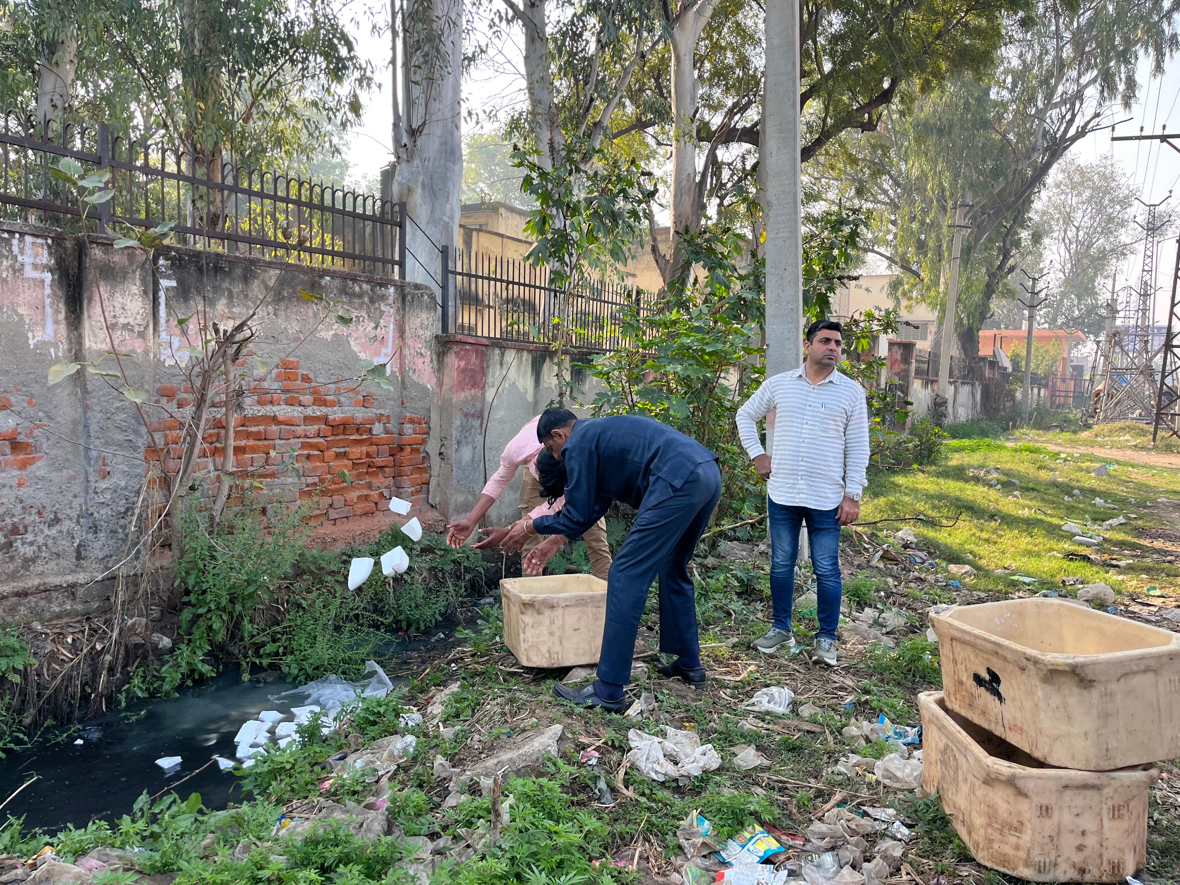 Members destroying synthetic cheese