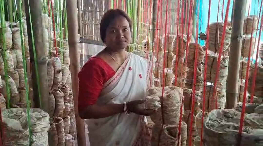 Dhubri woman become self reliant through mushroom cultivation