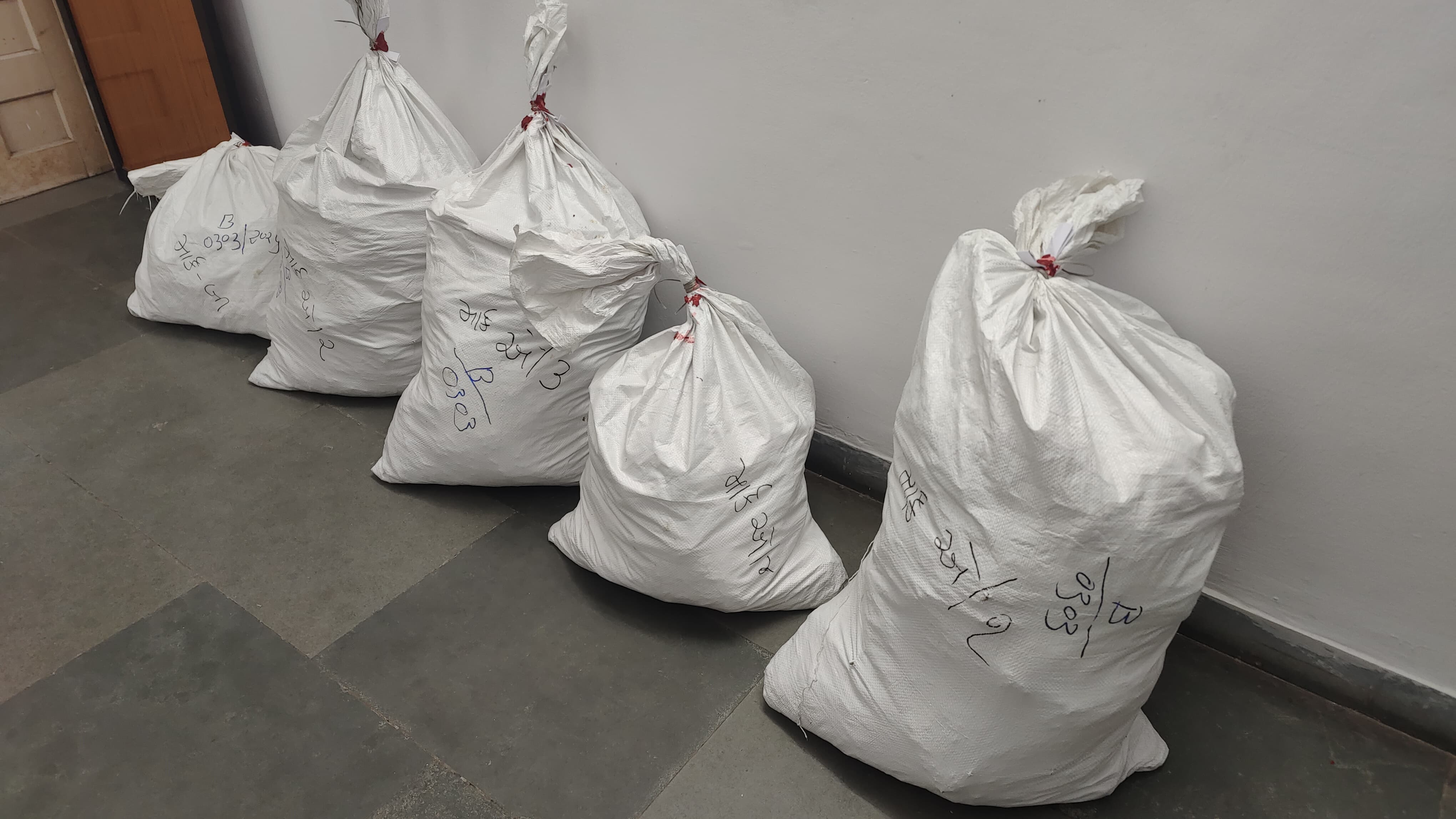 ઓલપાડના કારેલી ગામે SOGનો મોટો દરોડો: ૨૭.૭૪ લાખનો ૫૫ કિલો ગાંજો ઝડપાયો, ૪ ઓરિસ્સાવાસીઓની ધરપકડ