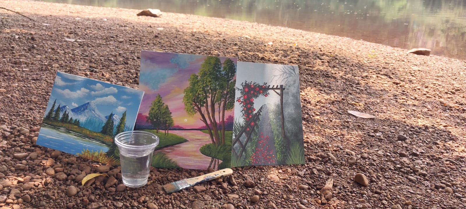 Anseera's  Canvas of Dreams