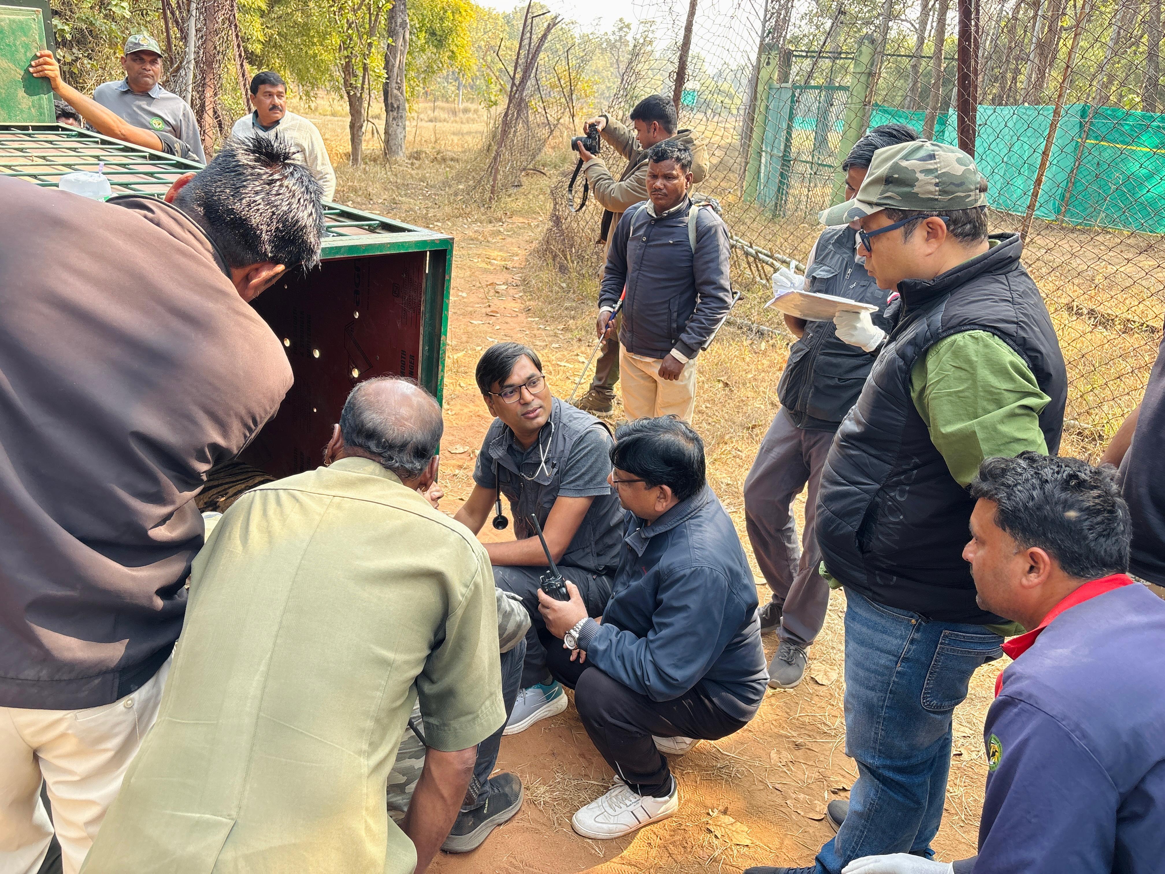BANDHAVGARH TIGER RESERVE