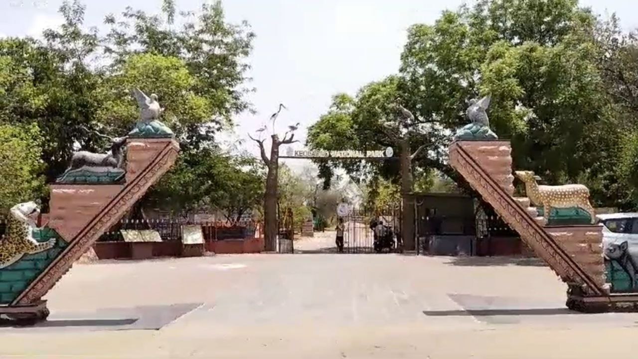 केवलादेव राष्ट्रीय उद्यान