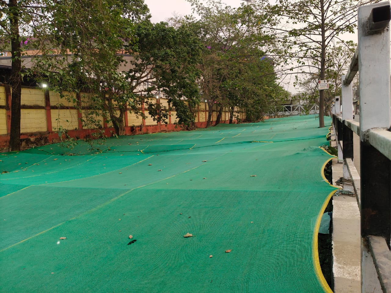 Beneath the green cover is a dead stinking river