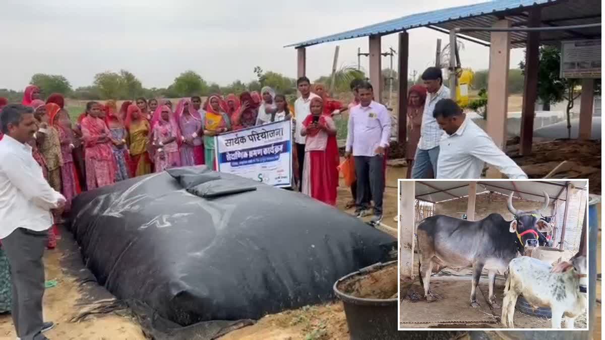 No Gas, No Problem: Farmers In Rajasthan's Barmer Set Up Biogas Plants ...