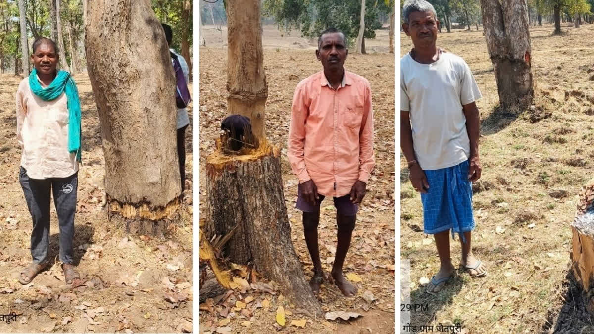 Signs of encroachment across Udanti Sitanadi Tiger Reserve