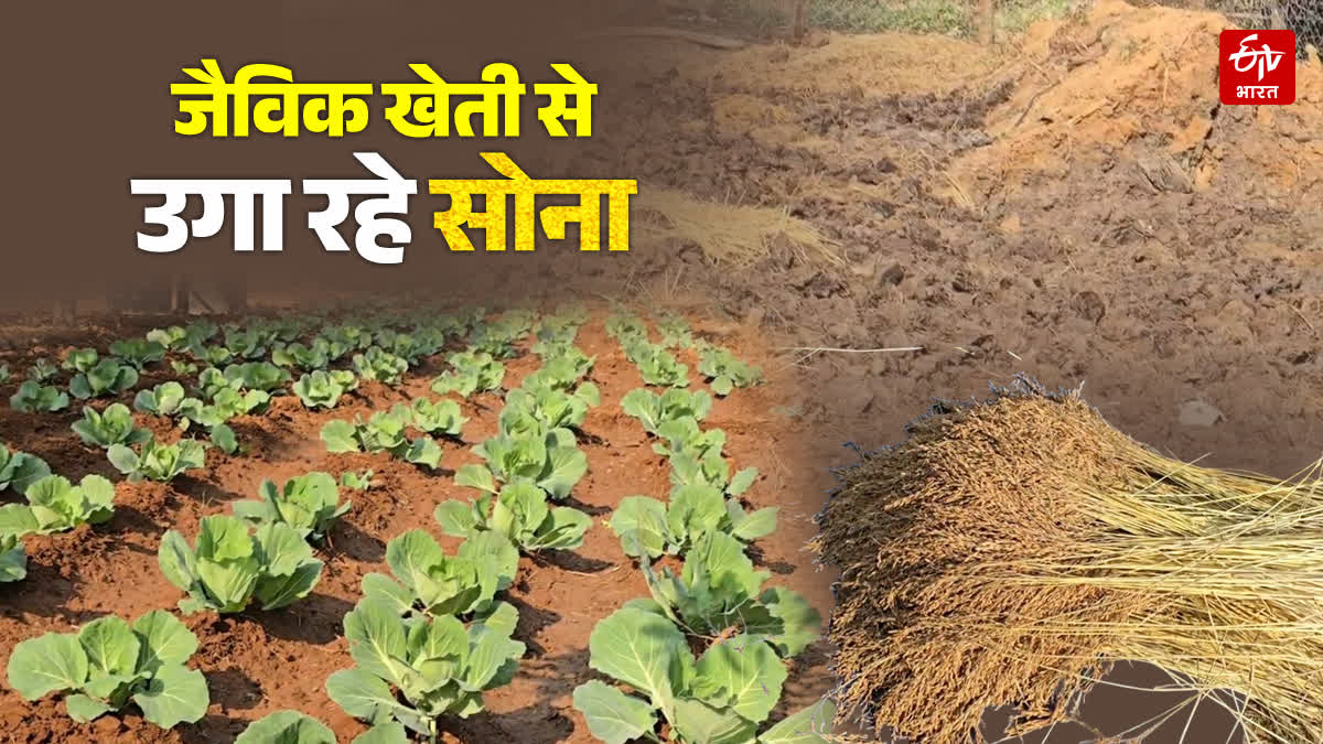 TRADITION OF ORGANIC FARMING