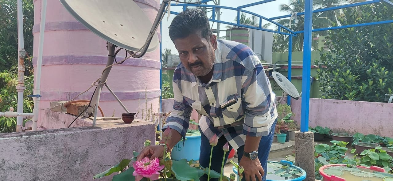 Blooms Of Hope: How Bhubaneswar’s Chandan Samantray Built His Rooftop Lotus Paradise With 90 Varieties