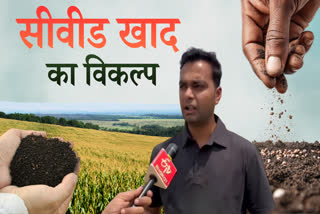 Production of Seaweed Fertilizer in Surguja