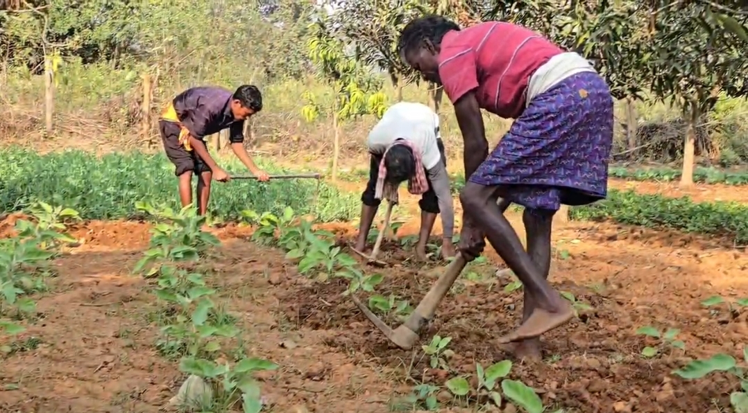 Tradition of Organic Farming