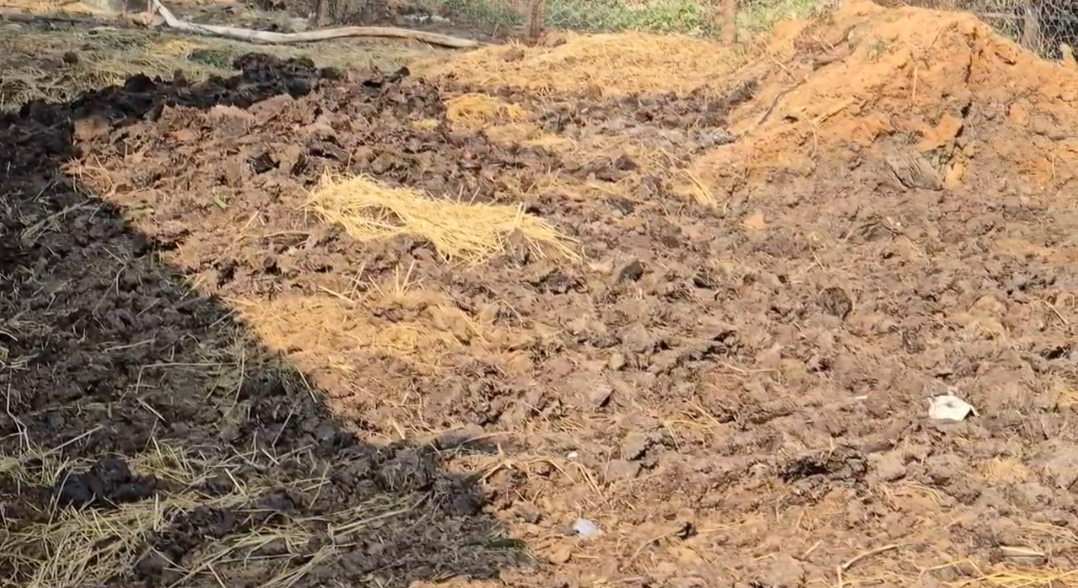Tradition of Organic Farming