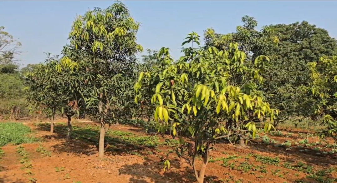 Tradition of Organic Farming
