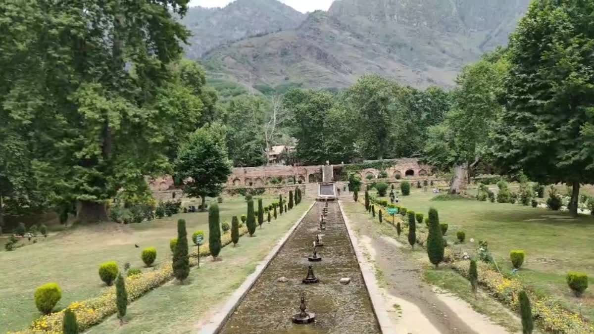 Tourists in kashmir