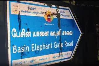 யானை கவுனி சாலை