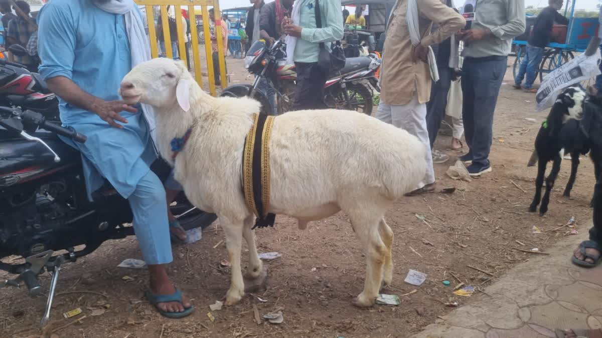 EID AL ADHA 2026