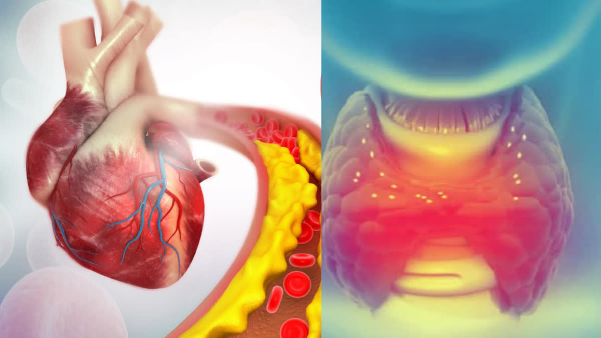 Thyroid issues can increase the risk of heart failure; learn why keeping it under control is essential.