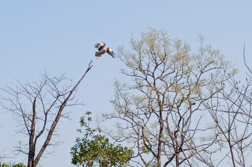 BIODIVERSITY CONSERVATION MP