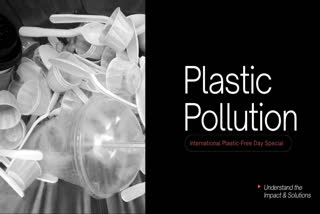 Plastic pollution explained