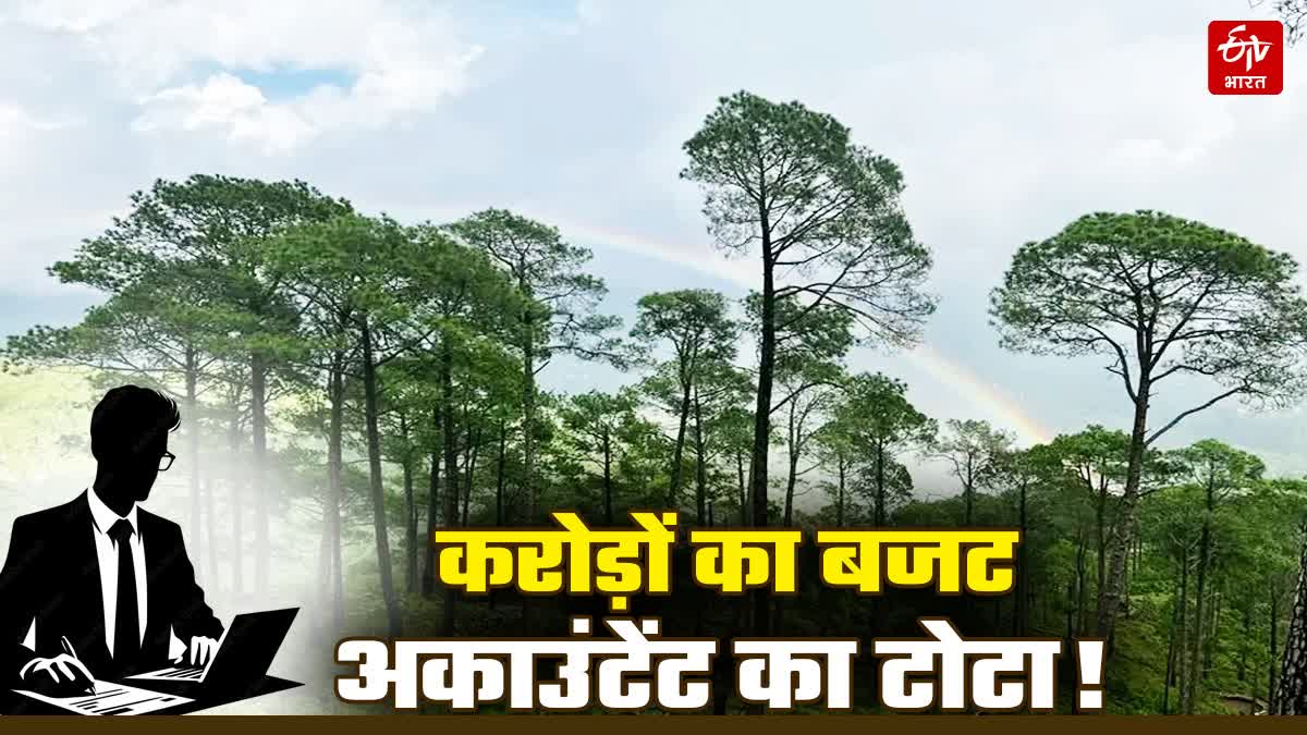 FOREST DEPARTMENT ACCOUNTANTS