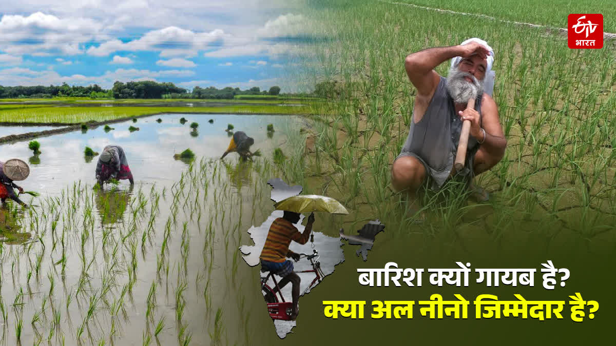 क्या अल नीनो लाएगा सूखा, महंगाई और पानी का संकट?