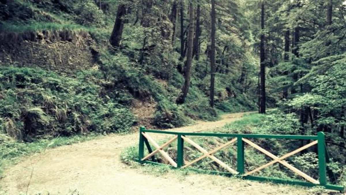 शिमला में बनेगा 80 KM लंबा साइकिलिंग ट्रैक