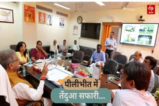 पीलीभीत में जल्द शुरू होगी तेंदुआ सफारी