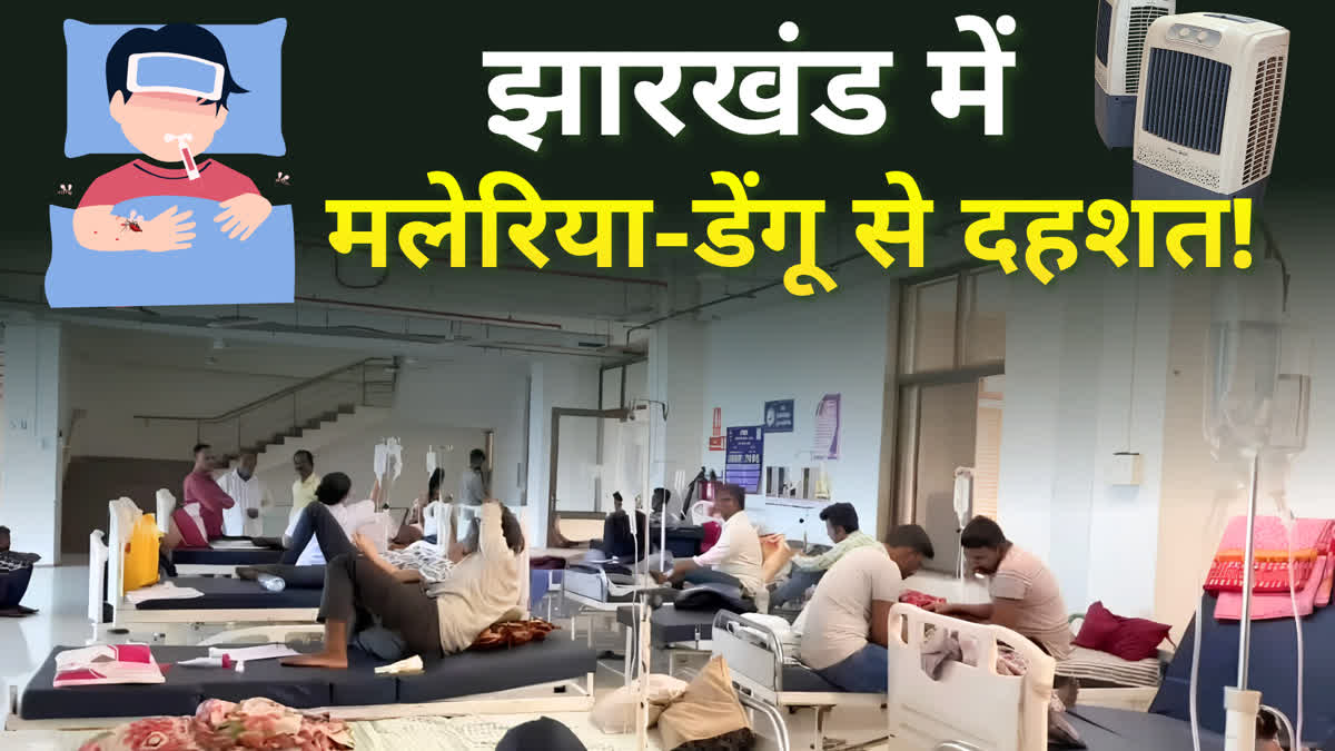 DENGUE MALARIA IN JHARKHAND
