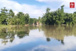 Assam Flood Situation