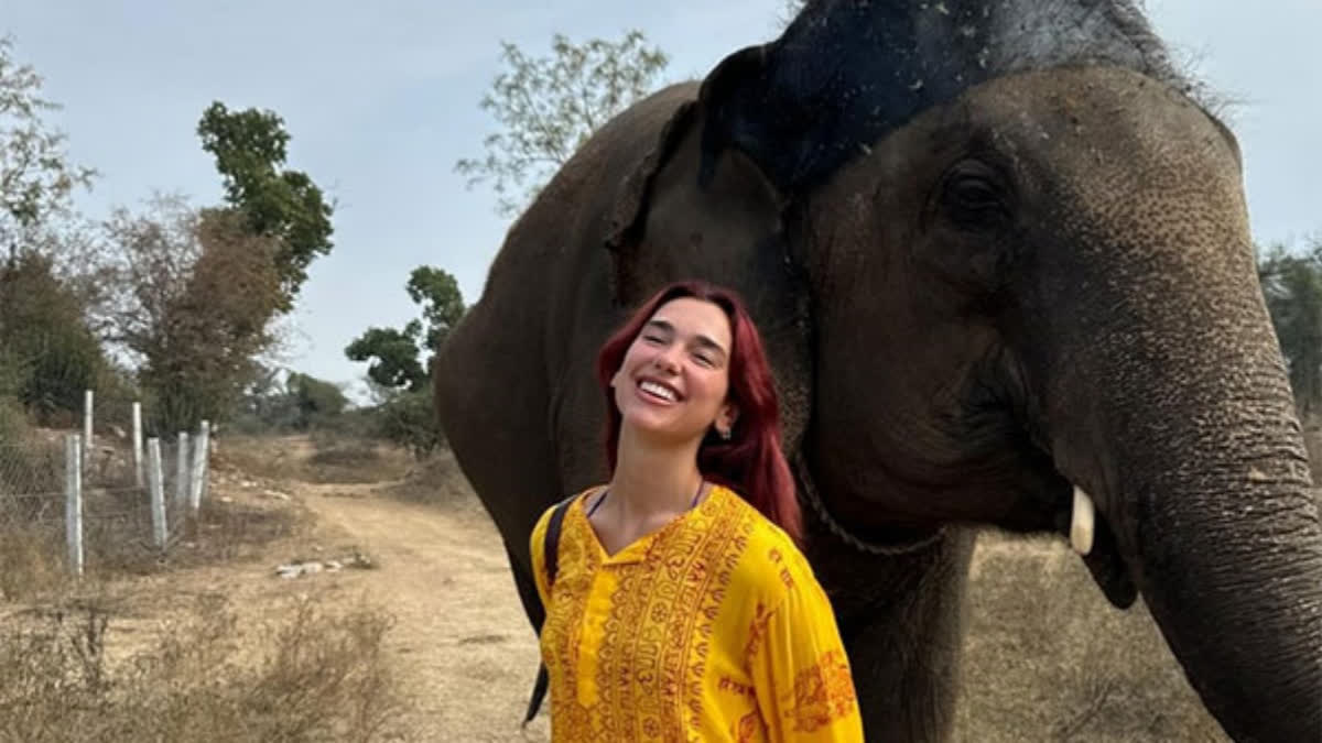 Can’t Wait to See You Again: Dua Lipa Announces November Concert in India Following Memorable 2023 Visit Grammy-Winning Singer Dua Lipa Announces Return to India for November Concert