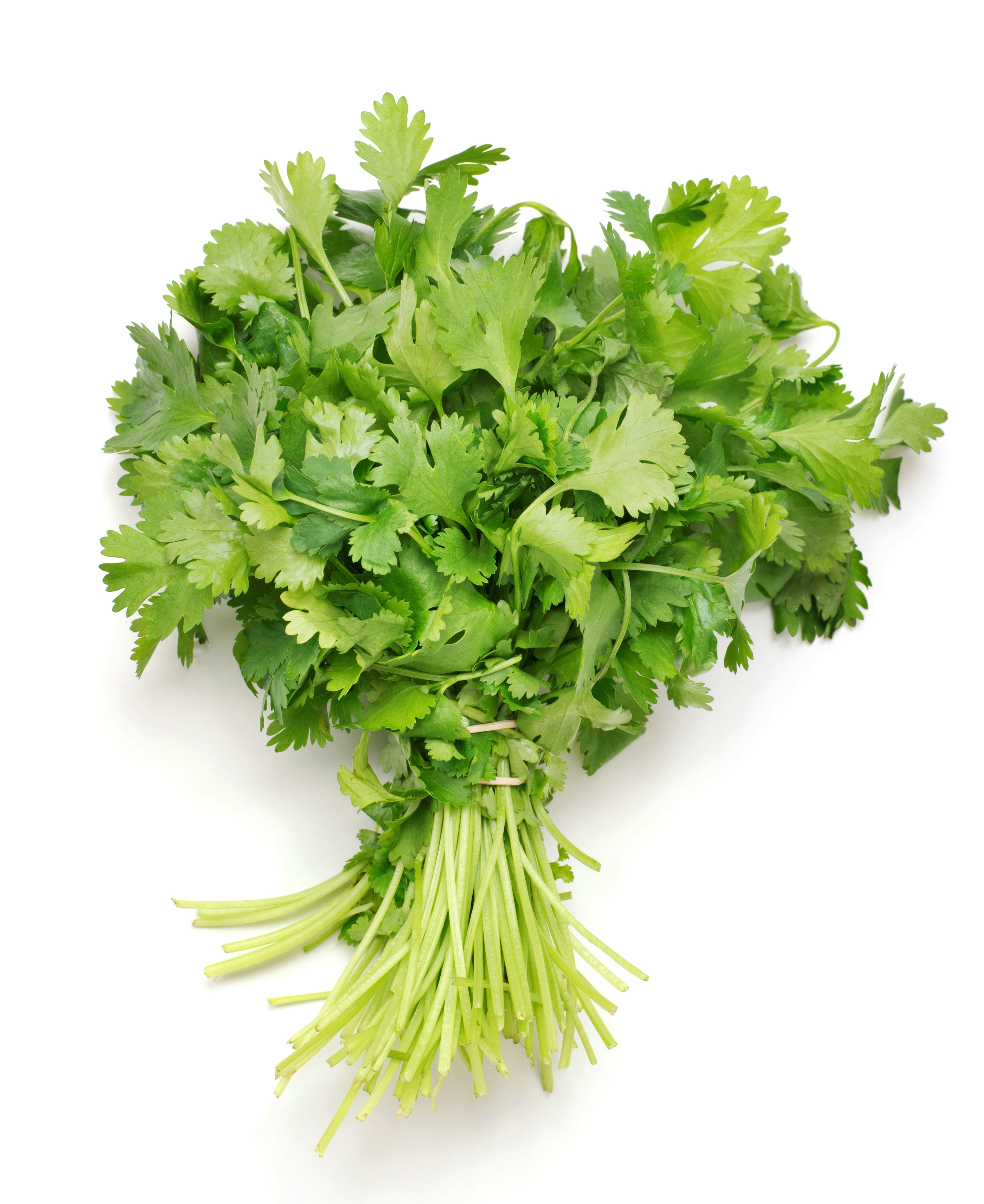 Palak Sabudana Vada Recipe