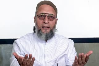 کیا صدر وزیراعظم کو ہٹا سکتے ہیں؟ اویسی نے آئینی ترمیمی بل پر سوالات اٹھائے