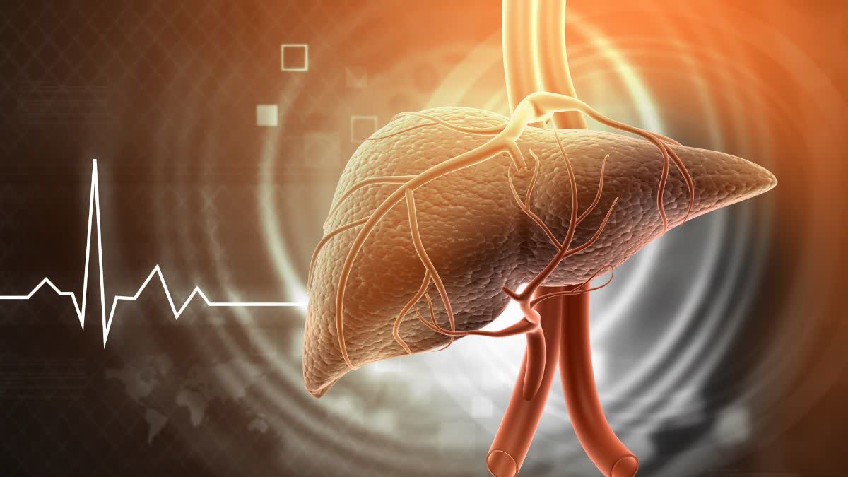 fatty liver
