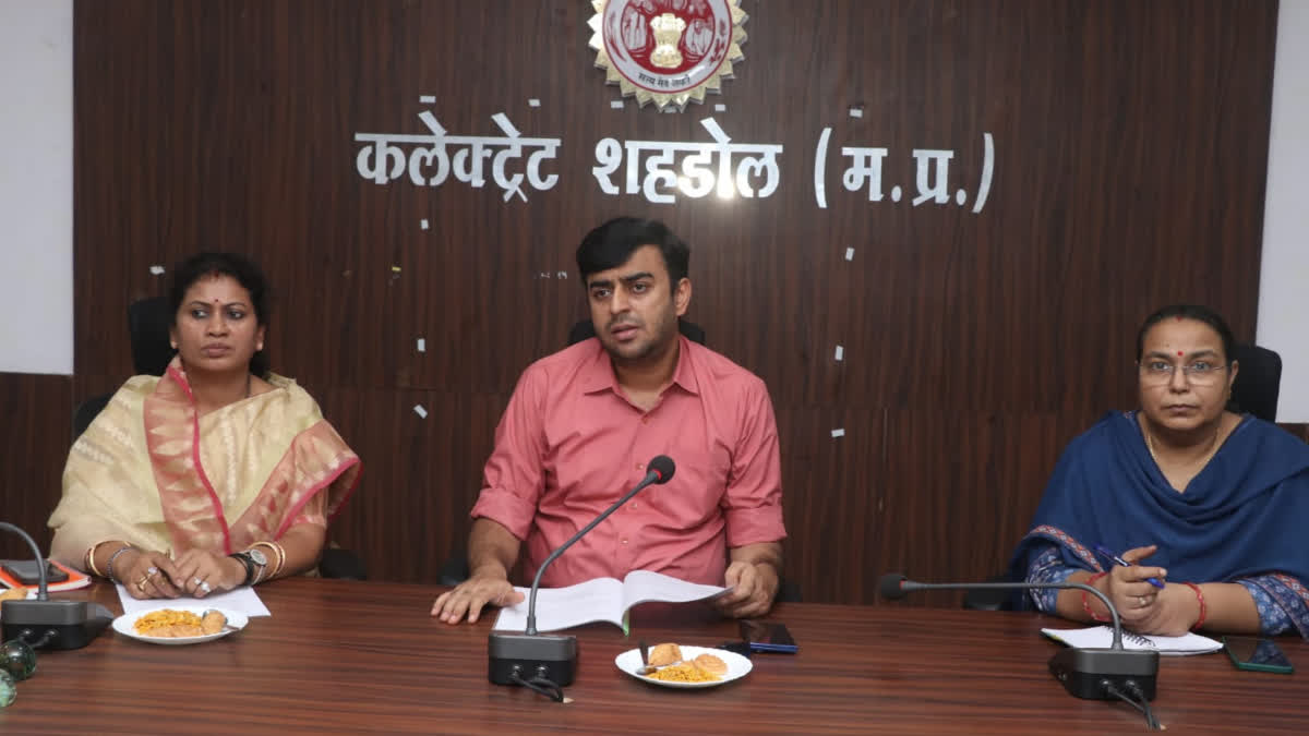 Shahdol Collector suspended patwari
