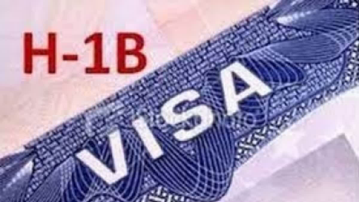 ایچ ون بی ویزا پر امریکہ کا نیا پلان، فیس ایک لاکھ ڈالر سے زائد کرنے کی تجویز us proposes additional 103265 dollar fee for h 1b cap subject visa petitions, Urdu News