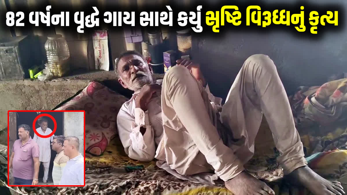 82 વર્ષના વૃદ્ધે ગાય સાથે ગંદુ કૃત્યુ કર્યુ