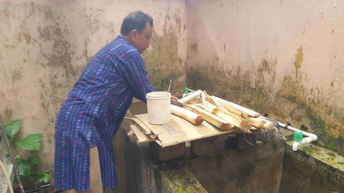 Sambalpur Professor Grows Mushrooms On Discarded Banana Stems, Trains Over 500 People