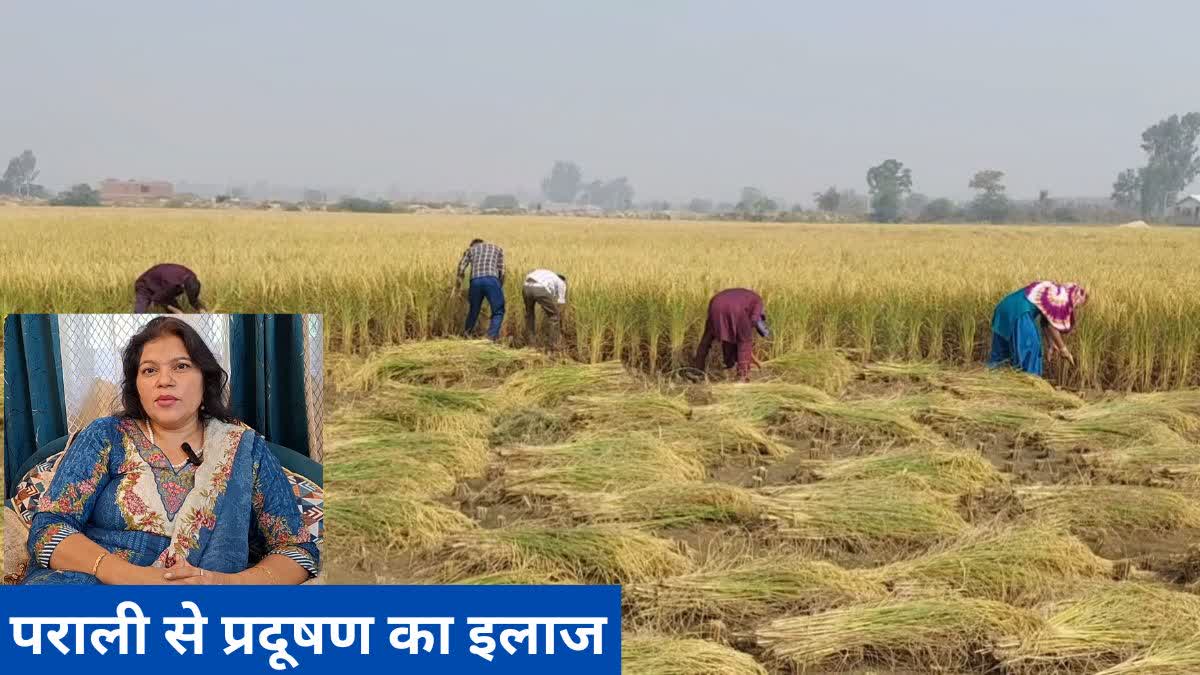 MDU research Rohtak
