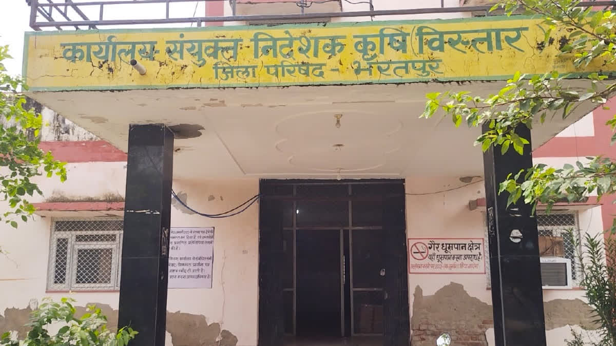 Rabi sowing in Bharatpur
