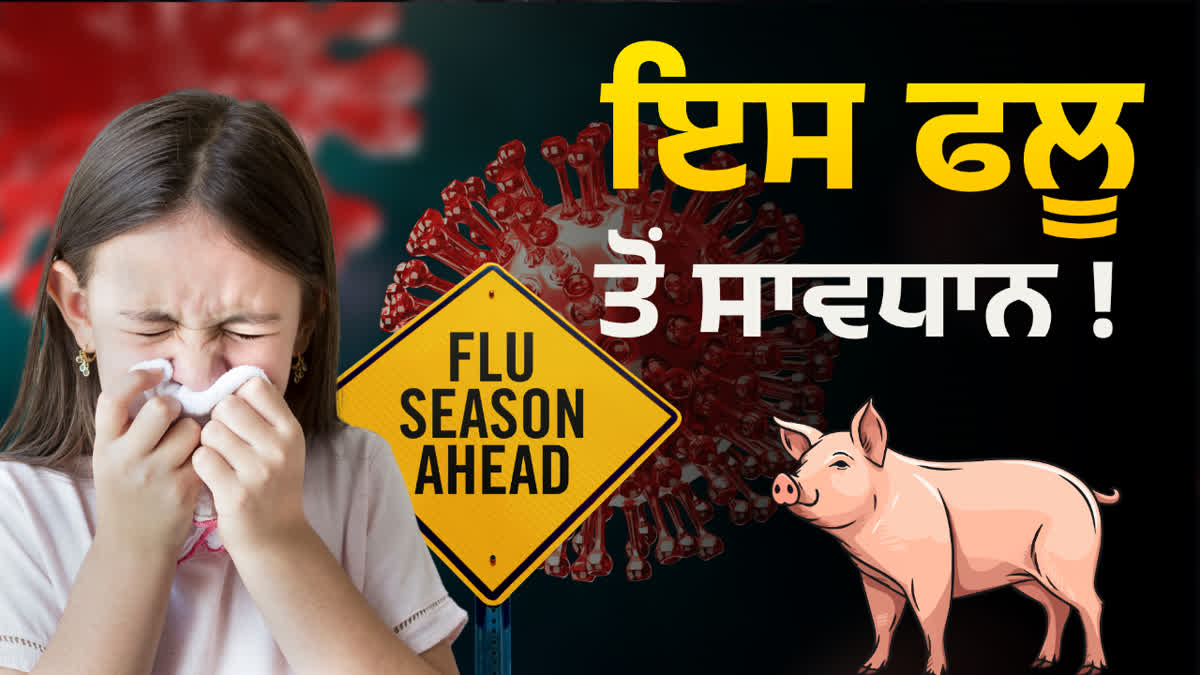 PUNJAB H1N1 SWINE FLU INCREASE