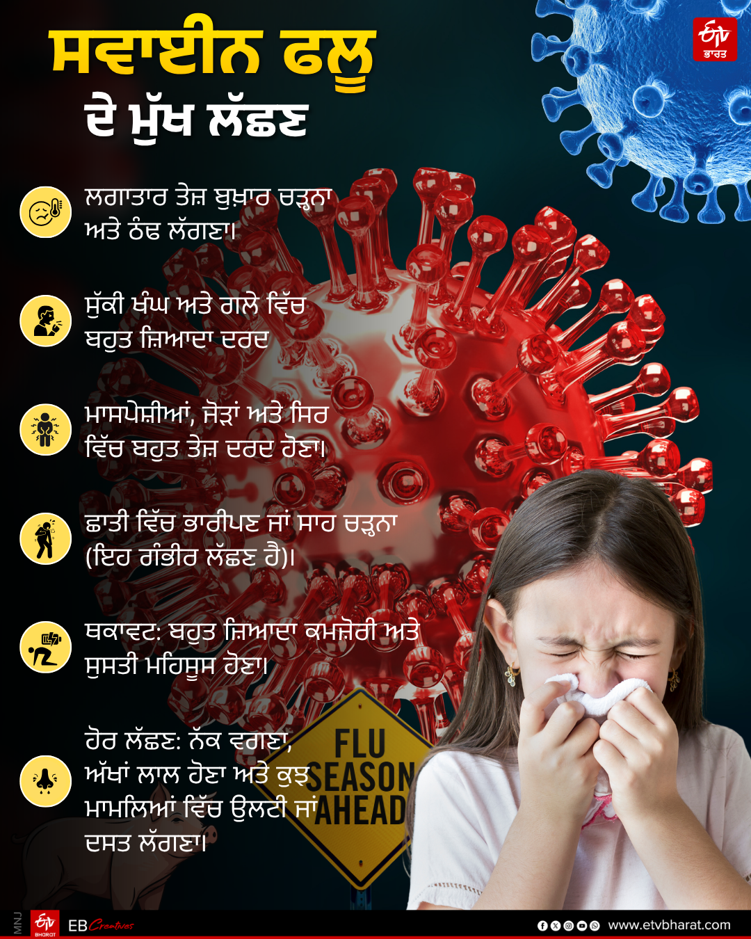 PUNJAB H1N1 SWINE FLU INCREASE