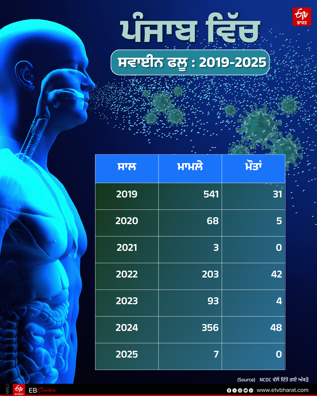 PUNJAB H1N1 SWINE FLU INCREASE