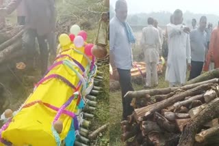 Hamirpur Saas Bahu Death