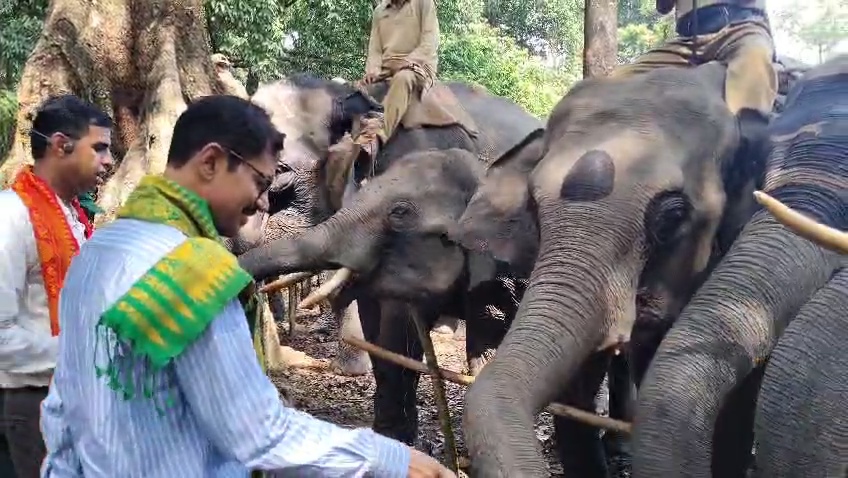 Manas National Park