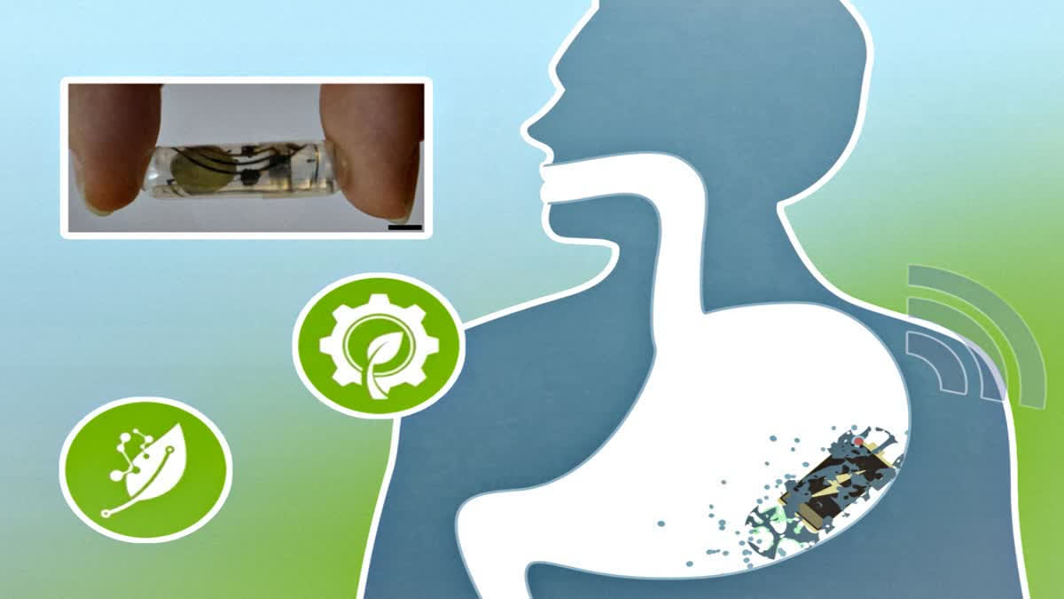 SWALLOWABLE PAPER BATTERY