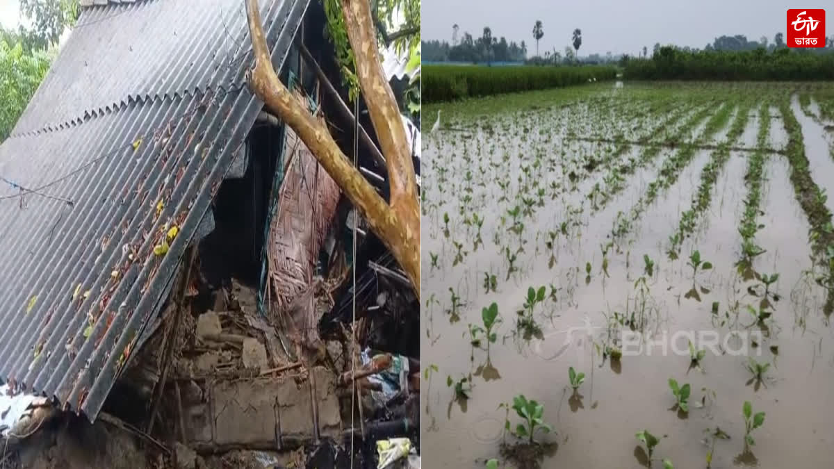 ETV Bharat Live Updates