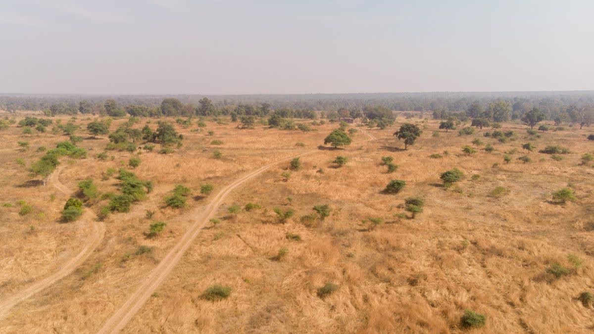 MP TIGER RESERVES ZONAL MASTER PLAN